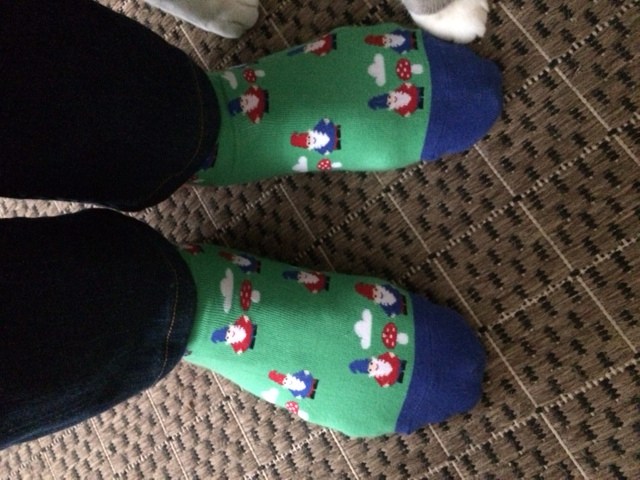 gnome socks